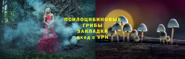 амф Аркадак