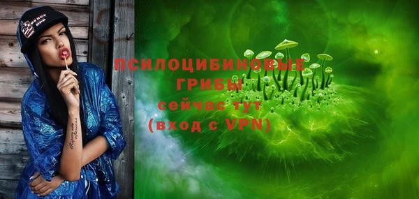 амф Аркадак