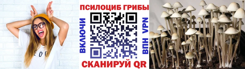 магазин продажи наркотиков Байкальск Псилоцибиновые грибы прущие грибы